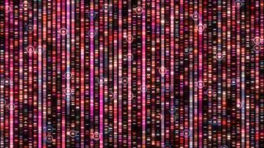 A representation of a human genome which looks like lines of colors